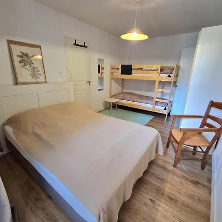 T3-2 Ch, Luz Evasion *