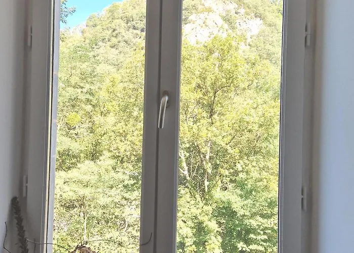 T3-2 Ch, Luz Evasion *